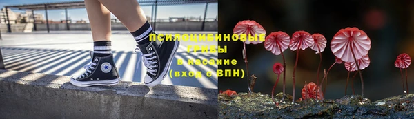 стафф Мегион