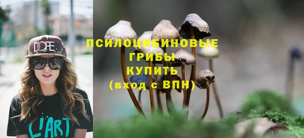 спайс Медногорск