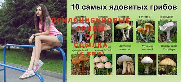 мескалин Медвежьегорск