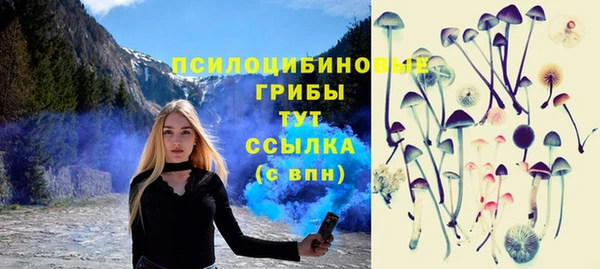 стафф Мегион