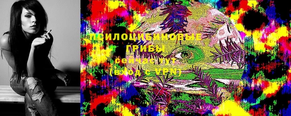 мескалин Медвежьегорск
